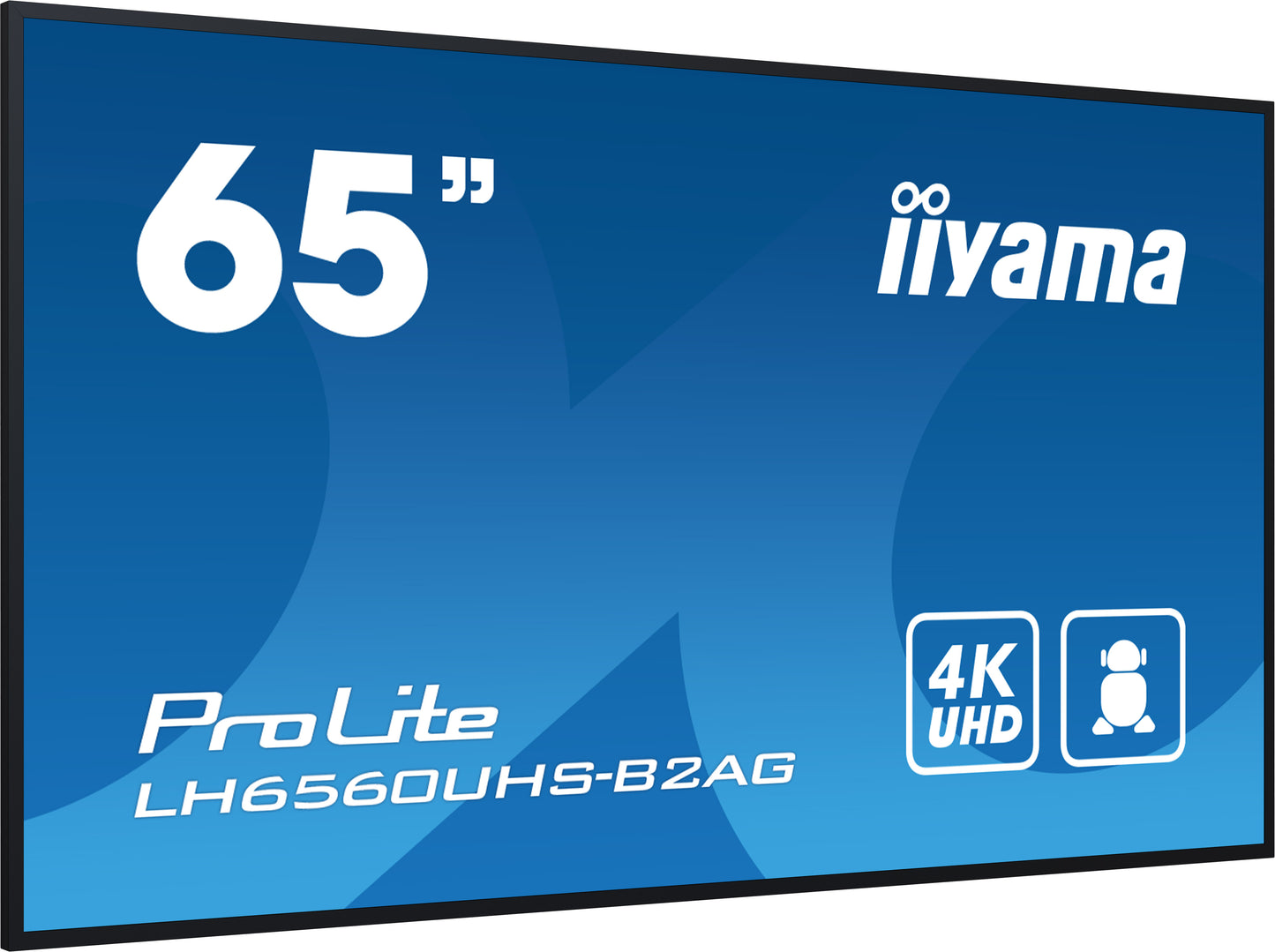 iiyama ProLite LH6560UHS-B2AG 65" 4K UHD ELED VA Low Power Large Format Display