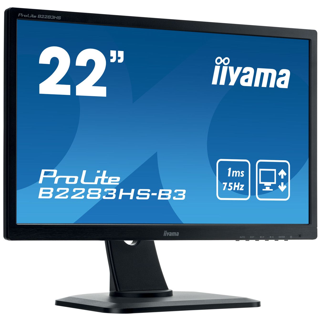 iiyama ProLite B2283HS-B3 22" LED Full HD Display Black