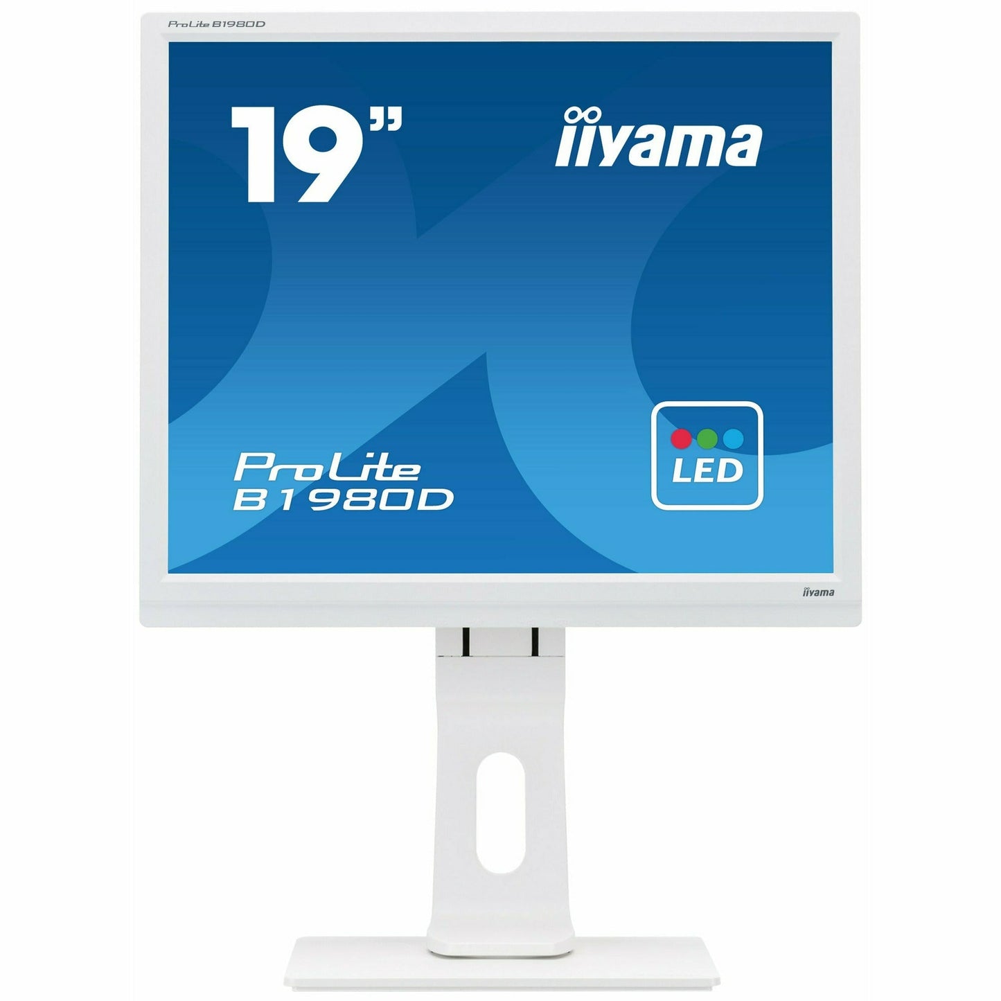 iiyama ProLite B1980D-W1 19" TN LED-backlit Monitor