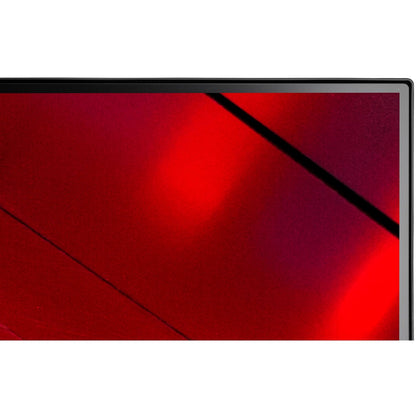 NEC MultiSync® E242N LCD 24" Enterprise Display